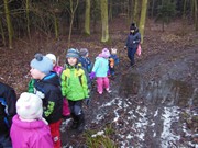 Výprava do lesa, krmení zvířátek